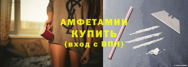 стафф Тайга