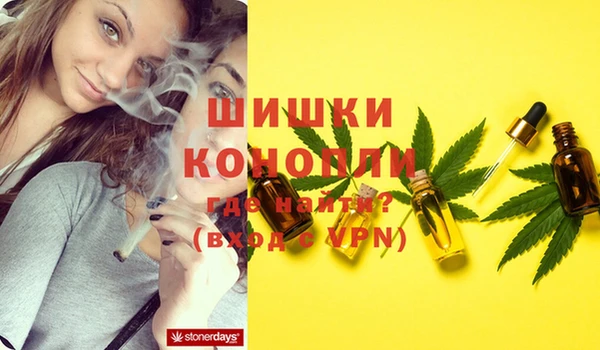 шишки Бугульма